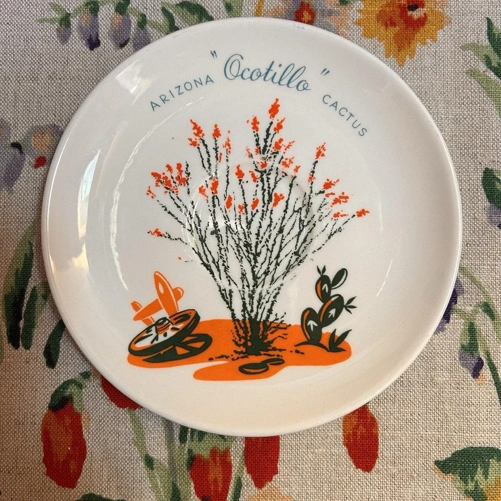 VTG Arizona Cactus Dinnerware Ocotillo Teacup Saucer Mid-Century Southwestern